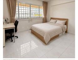 Blk 222 Tampines Street 24 (Tampines), HDB 4 Rooms #631385031